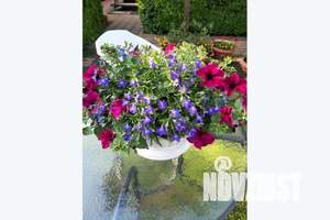 Дом 150м², 2-этажный, посуточно,