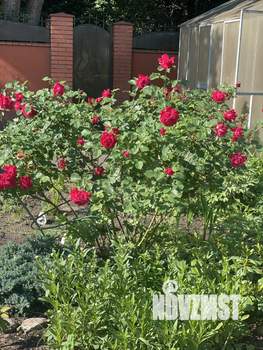 Дом 40м², 1-этажный, посуточно,