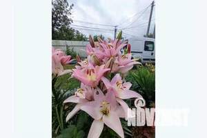 Дом 70м², 2-этажный, посуточно,