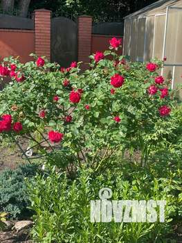 Дом 40м², 1-этажный, посуточно,