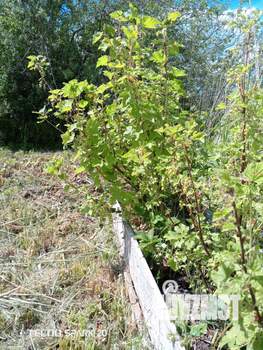 Дом 6м², 2-этажный, участок 5 сот.