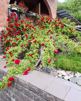 Дом 263м², 3-этажный, участок 6 сот.