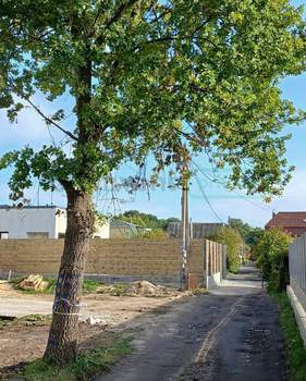 Дом 117м², 1-этажный, участок 4 сот.