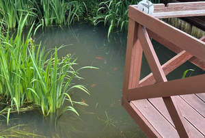 Дом 150м², 2-этажный, участок 6 сот.