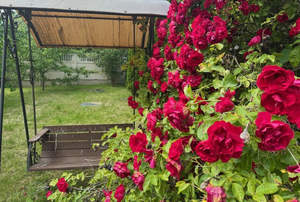 Дом 150м², 2-этажный, участок 6 сот.