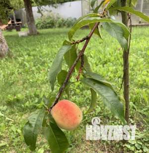 Дом 80м², 2-этажный, участок 8 сот.