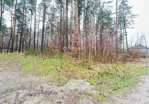 Дом 167м², 1-этажный, участок 10 сот.