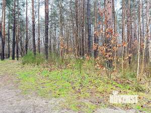 Дом 167м², 1-этажный, участок 10 сот.