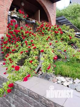 Дом 263м², 3-этажный, участок 6 сот.