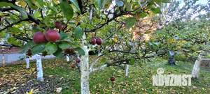 Дом 350м², 2-этажный, участок 10 сот.