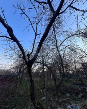 Дом 30м², 2-этажный, участок 4 сот.