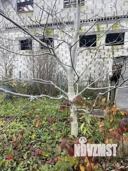 Дача 40м², 2-этажный, участок 7 сот.