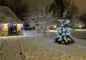 Дом 242м², 2-этажный, участок 13 сот.