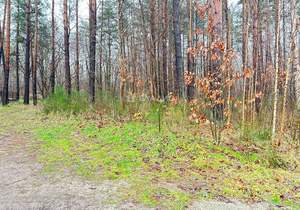 Дом 167м², 1-этажный, участок 10 сот.