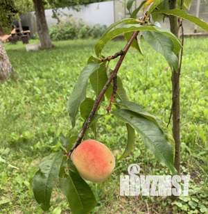 Дом 80м², 2-этажный, участок 8 сот.