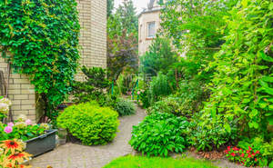 Дом 461м², 3-этажный, участок 8 сот.