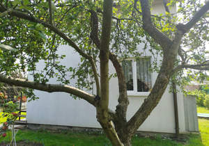 Дом 63м², 2-этажный, участок 4 сот.