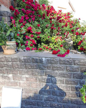 Дом 263м², 3-этажный, участок 6 сот.