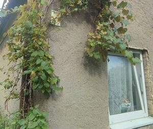 Дом 76м², 2-этажный, участок 10 сот.