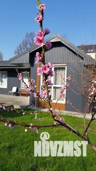 Дом 60м&sup2;, 1-этажный, посуточно, 