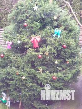 Дом 120м&sup2;, 2-этажный, посуточно, 