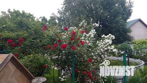 Дом 105м&sup2;, 1-этажный, посуточно, 