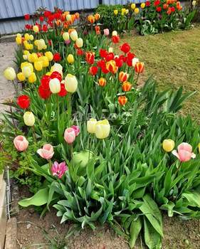 Дача 123м², 2-этажный, участок 8 сот.  