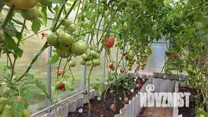 Дом 65м&sup2;, 2-этажный, участок 5 сот.  