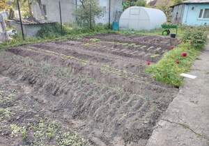 Дом 87м², 1-этажный, участок 7 сот.  