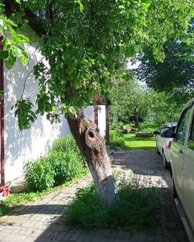 Дом 179м², 2-этажный, участок 10 сот.  