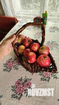 Дом 26м&sup2;, 1-этажный, участок 7 сот.  