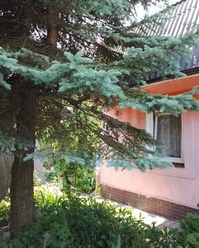 Дом 62м², 2-этажный, участок 7 сот.  