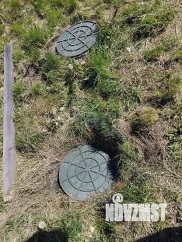 Дом 33м&sup2;, 1-этажный, участок 7 сот.  