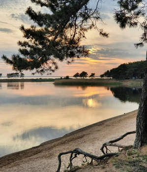 Дом 76м&sup2;, 2-этажный, участок 5 сот.  