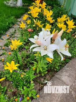 Дача 123м², 2-этажный, участок 8 сот.  