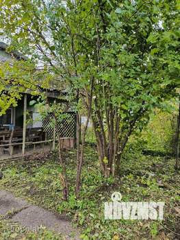 Дом 46м², 2-этажный, участок 5 сот.  