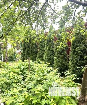 Дом 204м&sup2;, 2-этажный, участок 5 сот.  