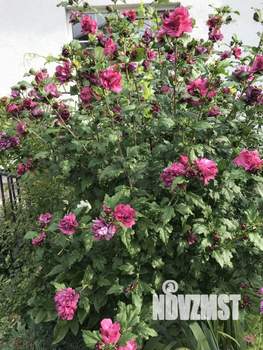 Дом 180м&sup2;, 2-этажный, участок 8 сот.  