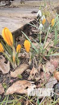 Дом 10м&sup2;, 1-этажный, участок 5 сот.  