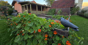 Дом 120м&sup2;, 2-этажный, участок 7 сот.  