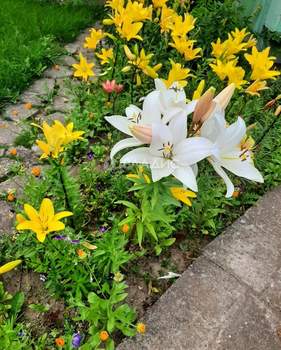 Дача 123м², 2-этажный, участок 8 сот.  