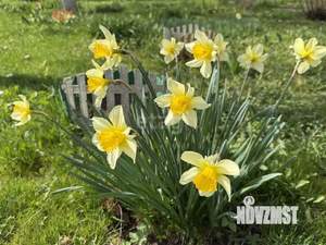 Дом 25м&sup2;, 1-этажный, участок 6 сот.  