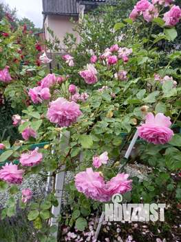 Дом 56м&sup2;, 2-этажный, участок 9 сот.  