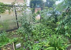 Дом 206м², 2-этажный, участок 7 сот.  