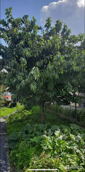 Дом 60м&sup2;, 2-этажный, участок 6 сот.  