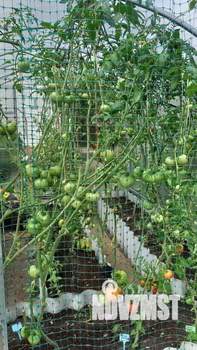 Дом 65м&sup2;, 2-этажный, участок 5 сот.  