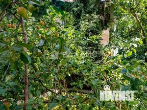 Дом 380м&sup2;, 4-этажный, участок 6 сот.  