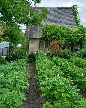 Дом 34м&sup2;, 2-этажный, участок 6 сот.  