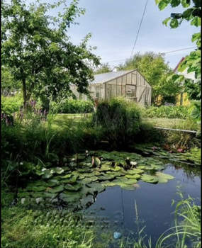 Дом 20м&sup2;, 1-этажный, участок 14 сот.  