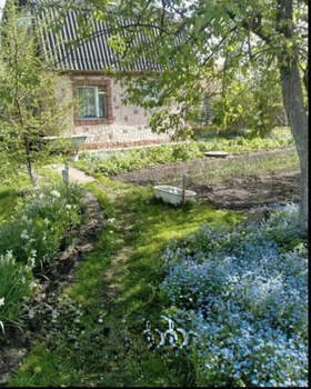 Дом 20м&sup2;, 1-этажный, участок 14 сот.  